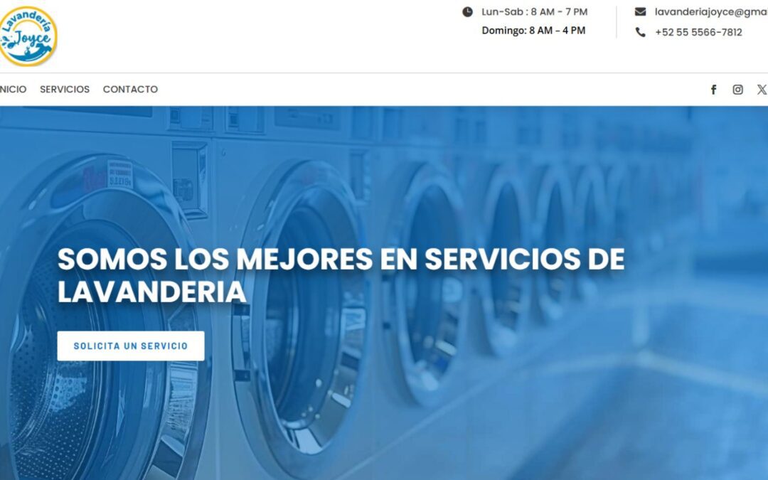 LAVANDERIA JOYCE